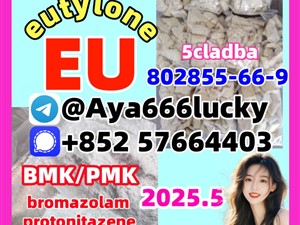 eutylone 802855-66-9 apvp EU KUTYLONE Butylone 2fdck mdma 3mmc
