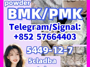New pmk bmk 5449-12-7 28578-16-7 Global sales strongest BMK PMK oil