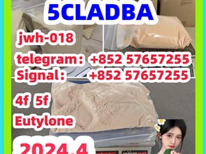 109555-87-5 5CLADBA Eutylone 802855-66-9 407-97-6