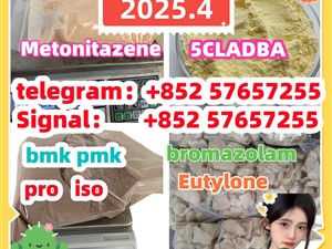 109555-87-5 5CLADBA Eutylone 802855-66-9 407-97-6