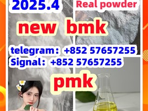 5449-12-7 bmk pmk