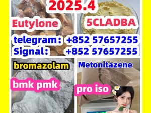 109555-87-5 5CLADBA Eutylone 802855-66-9 407-97-6