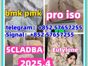 119276-01-6 protonitazene 14188-81-9 2732926-24-6 iso