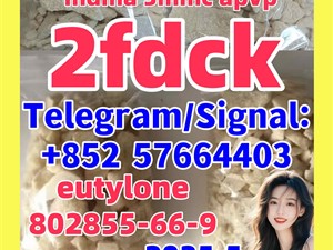 2fdck eutylone mdma 3mmc 802855-66-9 protonitazene 119276-01-6