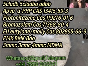 Bromazolam CAS 71368-80-4