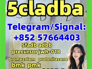 5cladba 5fadb adbb eutylone cannabinoid adb-butinaca 68-12-2 dmf dmt