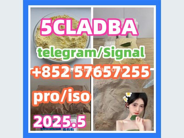 109555-87-5 5CLADBA Eutylone 802855-66-9   407-97-6