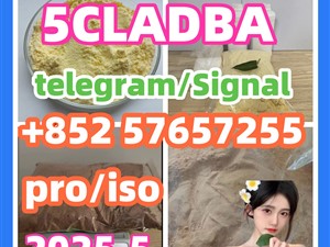 109555-87-5 5CLADBA Eutylone 802855-66-9 407-97-6