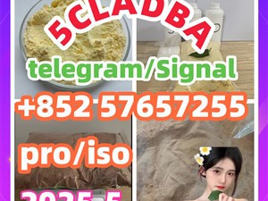 119276-01-6 protonitazene 14188-81-9 2732926-24-6 iso