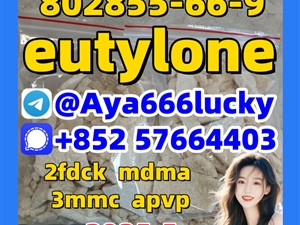 eutylone 2fdck mdma 3mmc apvp jwh-018 802855-66-9