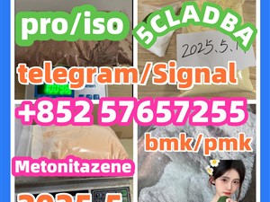 109555-87-5 5CLADBA Eutylone 802855-66-9 407-97-6