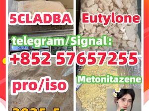 109555-87-5 5CLADBA Eutylone 802855-66-9 407-97-6