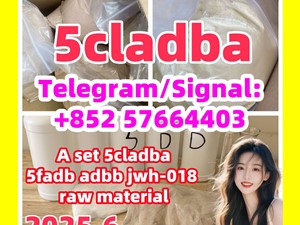 5cladba 5fadb adbb jwh-018 top cannabinoid adb-butinaca K2 precursor raw material