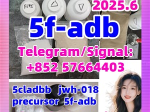 5fadb adbb jwh-018 5cladba 5cl-adb,5-cl-adb-a,5cl, K2 precursor raw material