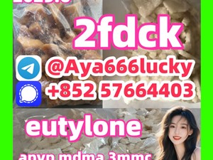 eutylone apvp mdma 3mmc jwh-018 802855-66-9 2fdck EU KUTYLONE Butylone