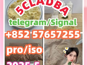 109555-87-5 5CLADBA Eutylone 802855-66-9 407-97-6
