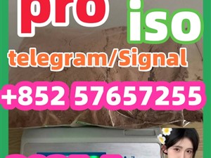 14188-81-9 2732926-24-6 iso 5449-12-7 bmk pmk