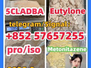 109555-87-5 5CLADBA Eutylone 802855-66-9 407-97-6