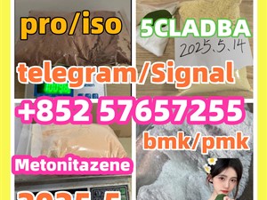 109555-87-5 5CLADBA Eutylone 802855-66-9 407-97-6