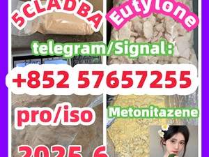 109555-87-5 5CLADBA Eutylone 802855-66-9 407-97-6