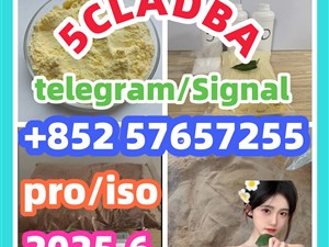 109555-87-5 5CLADBA Eutylone 802855-66-9 407-97-6
