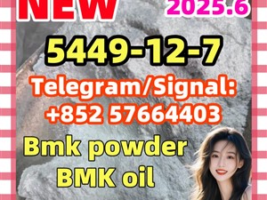 5449-12-7 Glycidic Acid New Bmk powder 5cladba eutylone 71368-80-4 bromazolam