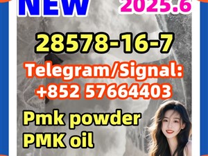 28981-97-7 alprazolam 28578-16-7 ethyl glycidate 5cladba eutylone New Pmk powder