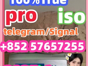 119276-01-6 protonitazene 14188-81-9 2732926-24-6 iso