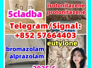 119276-01-6 protonitazene 2732926-24-6 isotonitazene 14188-81-9 eutylone 2fdck