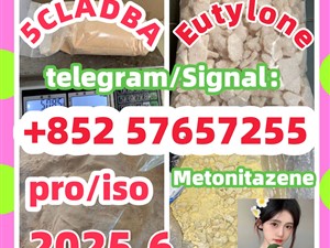109555-87-5 5CLADBA Eutylone 802855-66-9 407-97-6