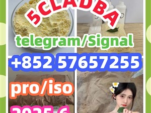 109555-87-5 5CLADBA Eutylone 802855-66-9 407-97-6