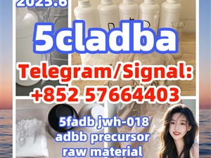 5cladba 5fadb adbb jwh-018 cannabinoid adb-butinaca 5clpvp 6cladba dmf dmt