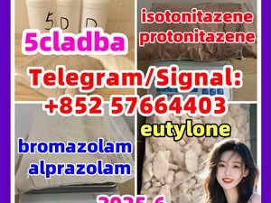 New Bmk 5449-12-7 New Pmk 28578-16-7 protonitazene 119276-01-6 alprazolam 28981-97-7