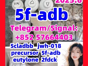 5fadb adbb jwh-018 5cladba K2 apvp molly top cannabinoid adb-butinaca 109555-87-5