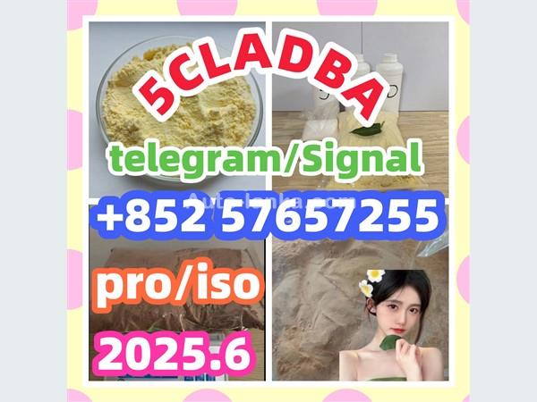 109555-87-5 5CLADBA Eutylone 802855-66-9   407-97-6
