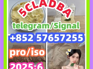 109555-87-5 5CLADBA Eutylone 802855-66-9 407-97-6