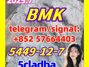High quality glycidyl acid (sodium salt) BMK CAS 5449-12-7 powder in stock