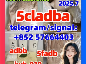 5cladba best cannabinoid 5cladb precursor raw 5cl-adb-a material Safe delivery