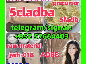 5cladba 5fadb adbb jwh-018 Raw Materials precursor dmf 1119-51-3 584-08-7
