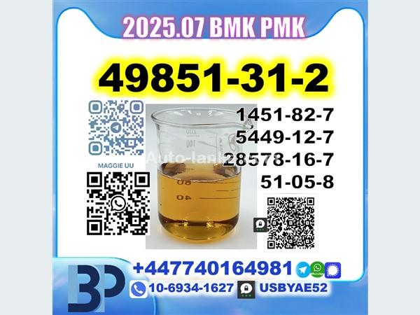 Toyota 49851-31-2 BMK PMK 5449-12-7,28578-16-7,1451-82-7,51-05-8