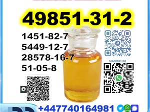 Toyota 49851-31-2 BMK PMK 5449-12-7,28578-16-7,1451-82-7,51-05-8