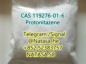 Protonitazene CAS 119276-01-6