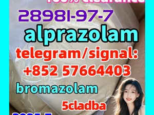 Alprazolam,28981-97-7 Etizolam CAS 40054-69-1