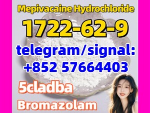 1722-62-9 Mepivacaine Hydrochloride