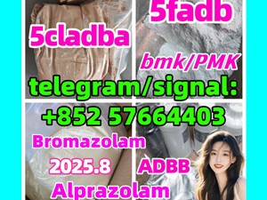 5cladba adbb bromazolam 71368-80-4 5fadb jwh-018 New BMK 5449-12-7