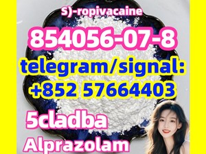 854056-07-8 S)-ropivacaine