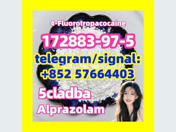 172883-97-5 4-Fluorotropacocaine