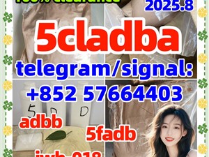 5CL-ADBA SGT-151 SGT78 6CLADBA 4cladba 2CLADBA Sell 5cl 5cladbb