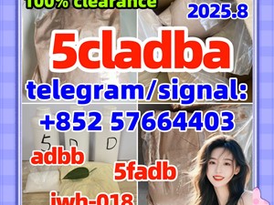 5cladba precursor raw material 5cl adb a raw material powder and liquid adbb 5fadb jwh-018