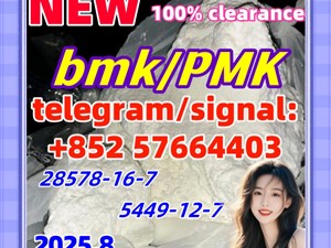 New BMK 5449-12-7 Powder glycerin acid  718-08-1 10250-28-7  New PMK 28578-16-7 Ethyl Glycidate